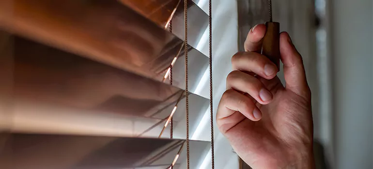 Double Roller Blinds in Pacifica, CA