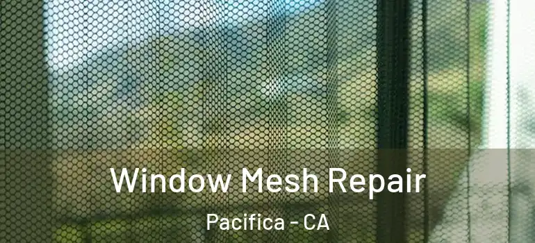  Window Mesh Repair Pacifica - CA