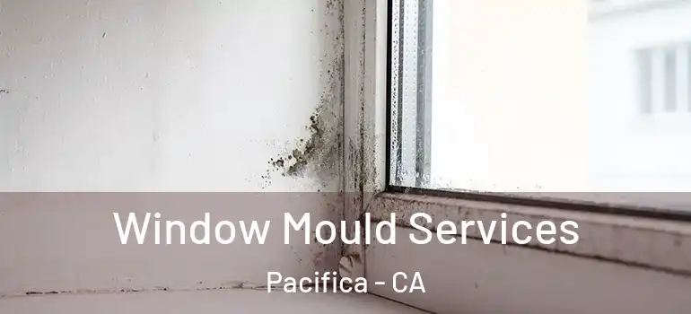  Window Mould Services Pacifica - CA