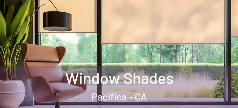  Window Shades Pacifica - CA